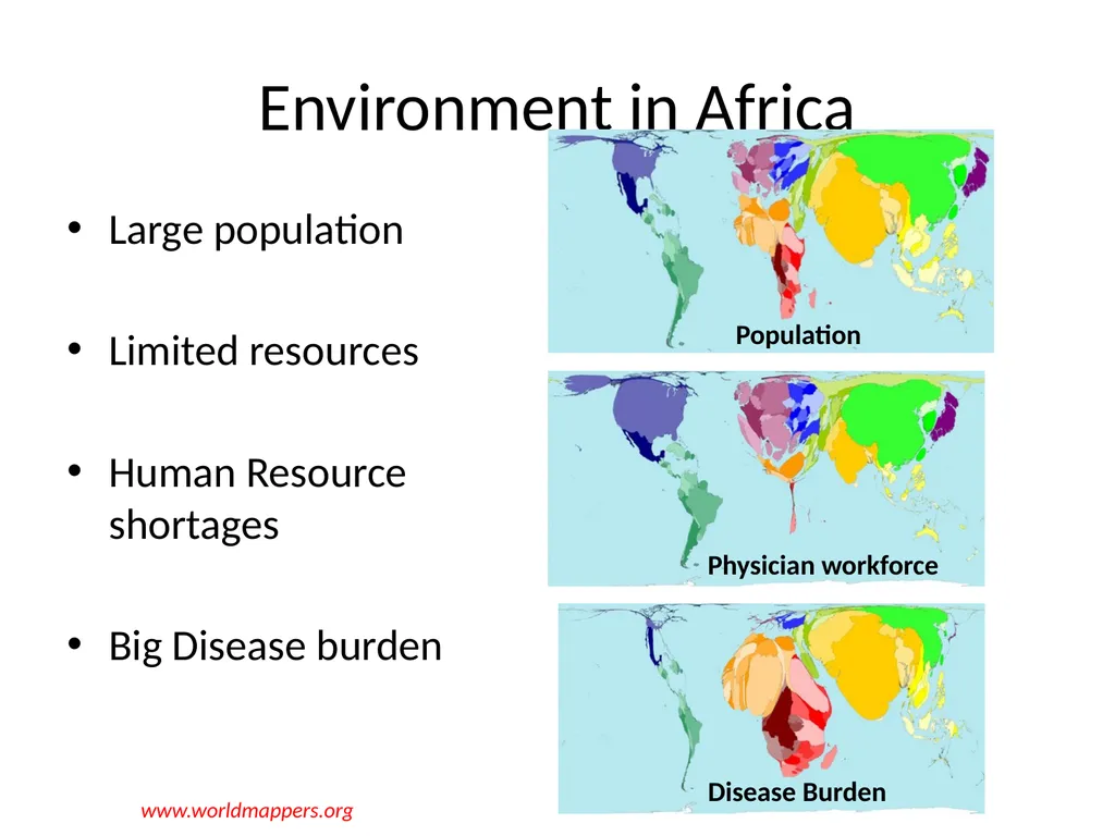 Reforming the Health Work Force to support - slide 8 of 24