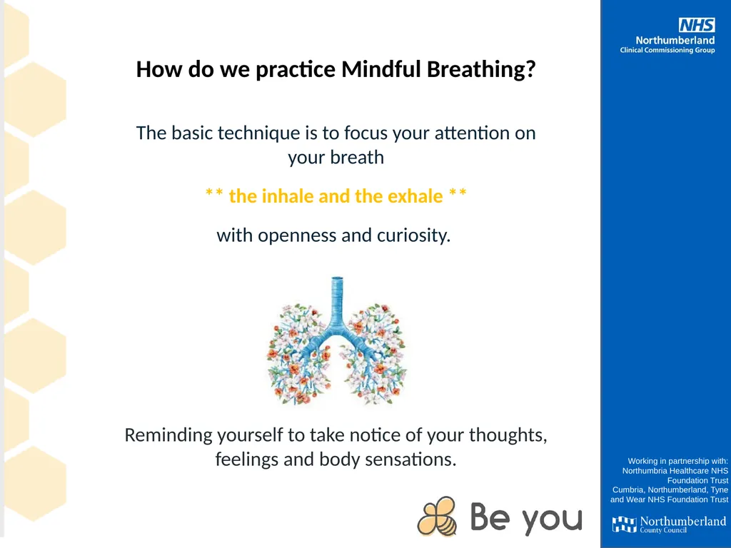 Working in partnership with: Northumbria - slide 7 of 23