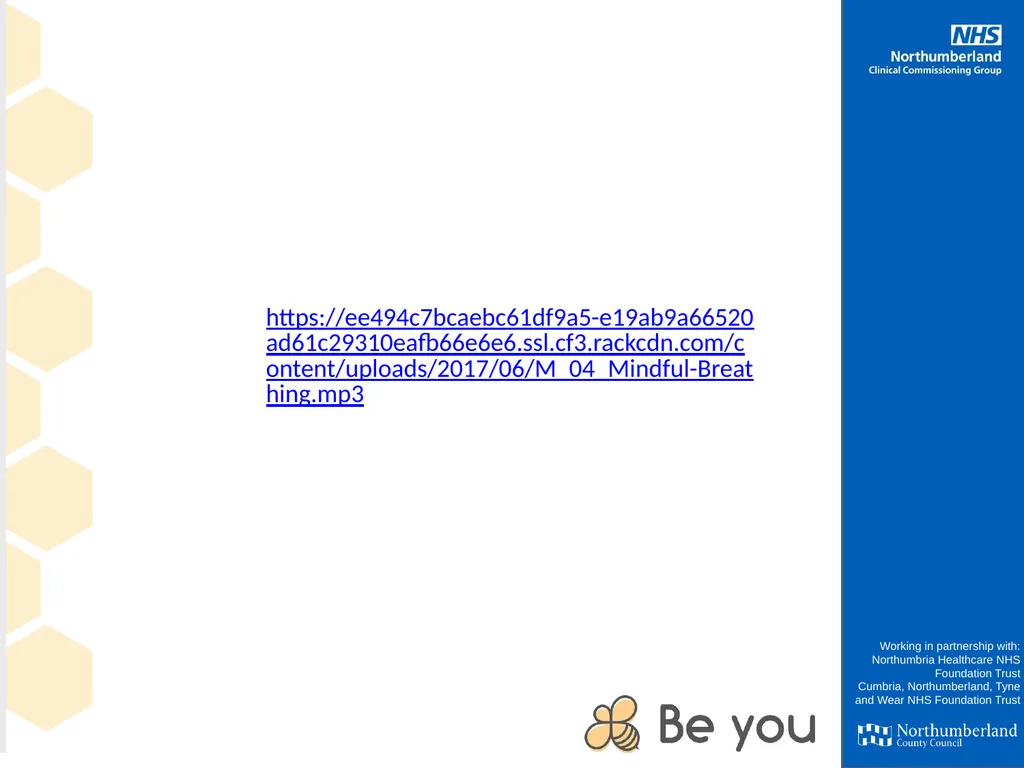 Working in partnership with: Northumbria - slide 8 of 23