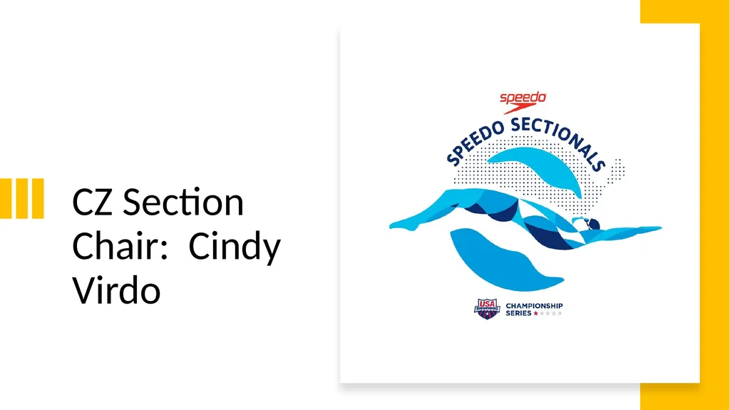 Central Zone Speedo Sectionals Technical/Coaches - slide 26 of 33