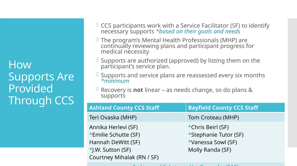 Comprehensive Community Services Prospective - slide 4 of 14