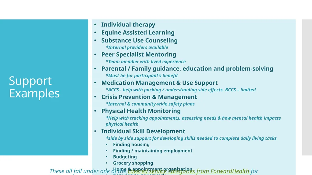 Comprehensive Community Services Prospective - slide 5 of 14