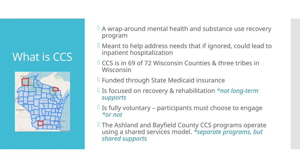 Comprehensive Community Services Prospective - slide 2 of 14