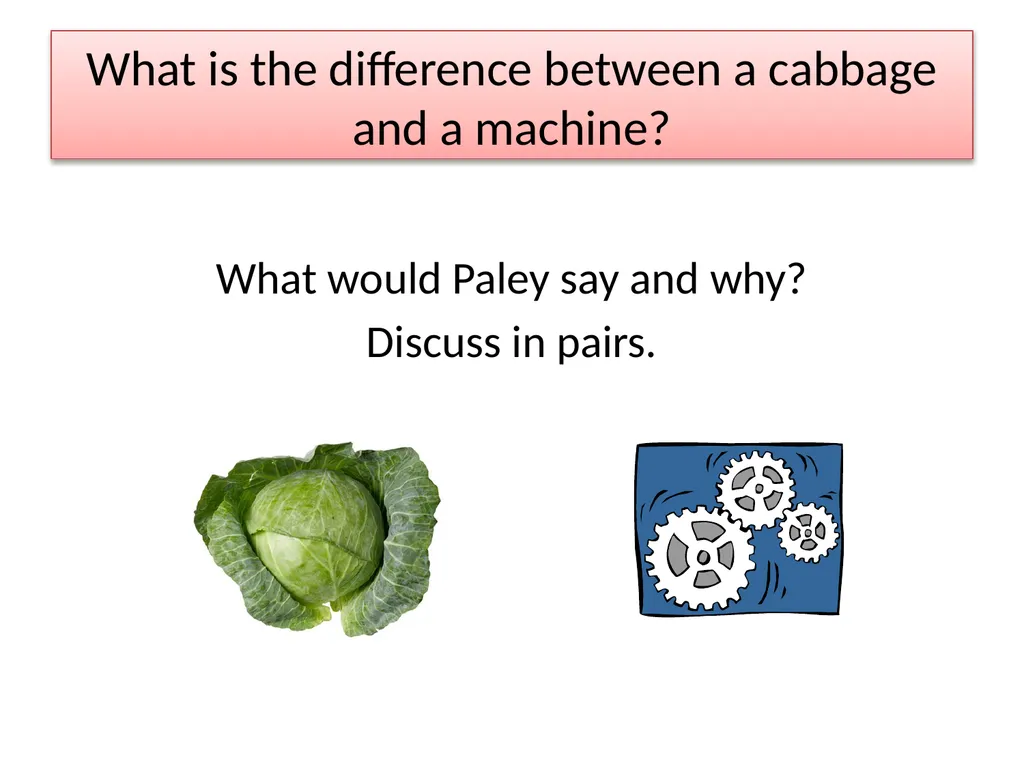 What is the difference between a cabbage and a - slide 1 of 12