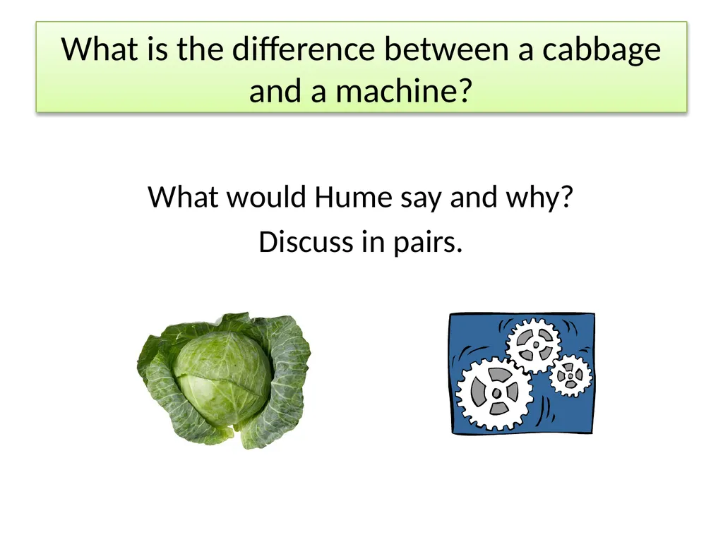 What is the difference between a cabbage and a - slide 12 of 12