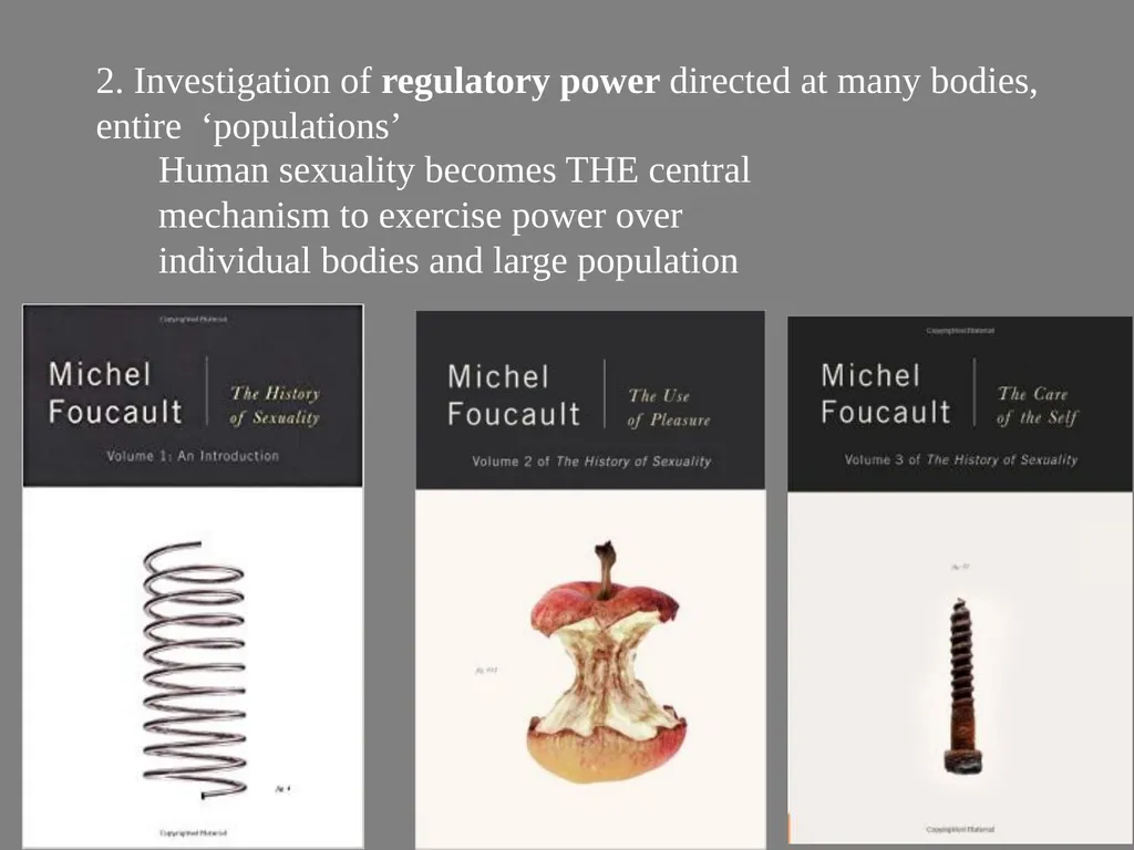 Poststructuralism, the Question of Power/Knowledge - slide 29 of 31