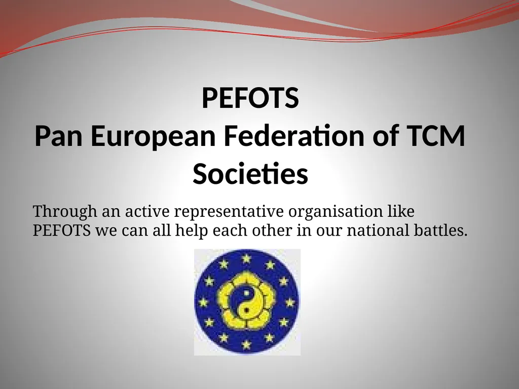 Global TCM Standards Organisations Founding - slide 24 of 25