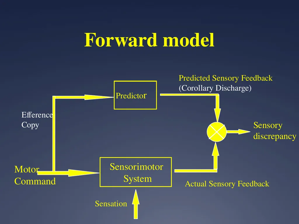 Does impaired metacognition contribute to - slide 14 of 55