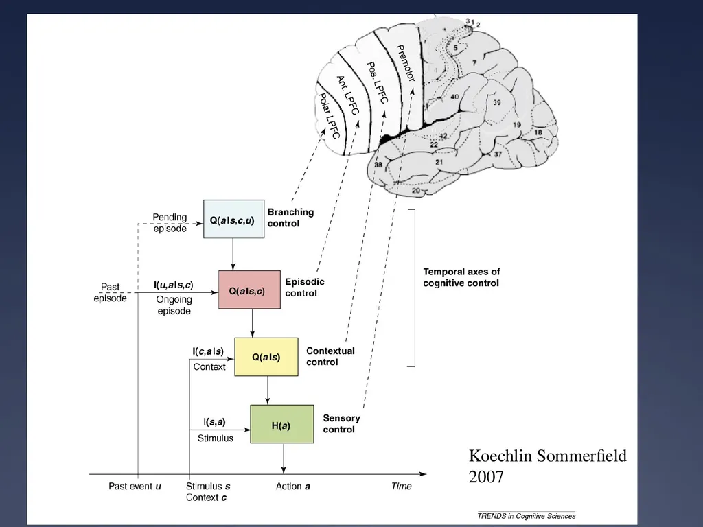 Does impaired metacognition contribute to - slide 27 of 55