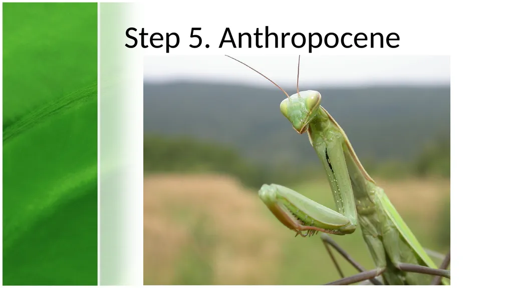 How does Nature Influence Culture and Vice Versa? - slide 7 of 10