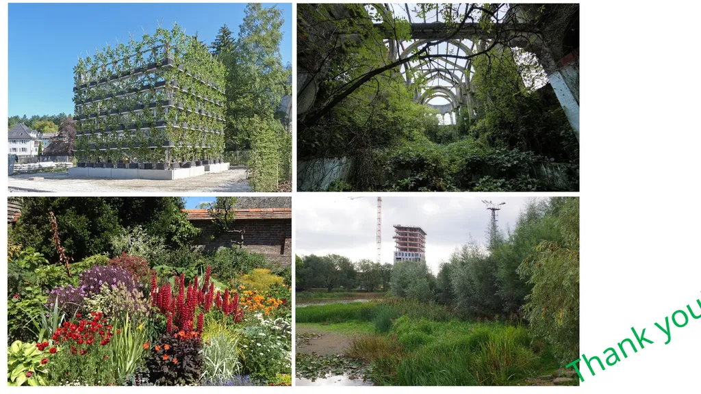 How does Nature Influence Culture and Vice Versa? - slide 10 of 10
