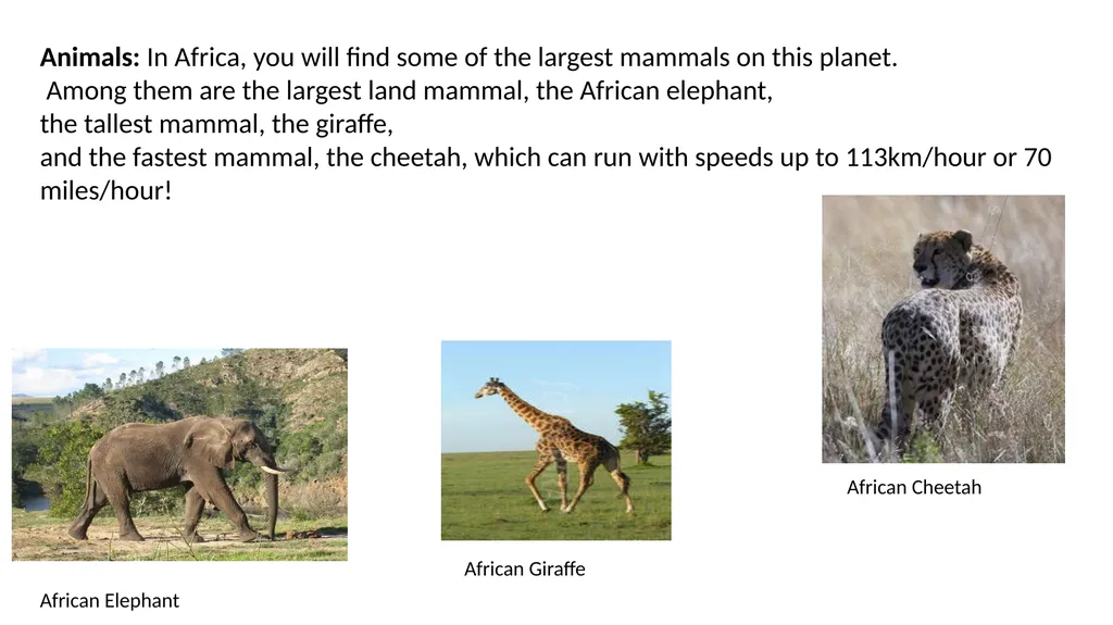 Continent of Africa by Dr James Sambo Brief - slide 15 of 17