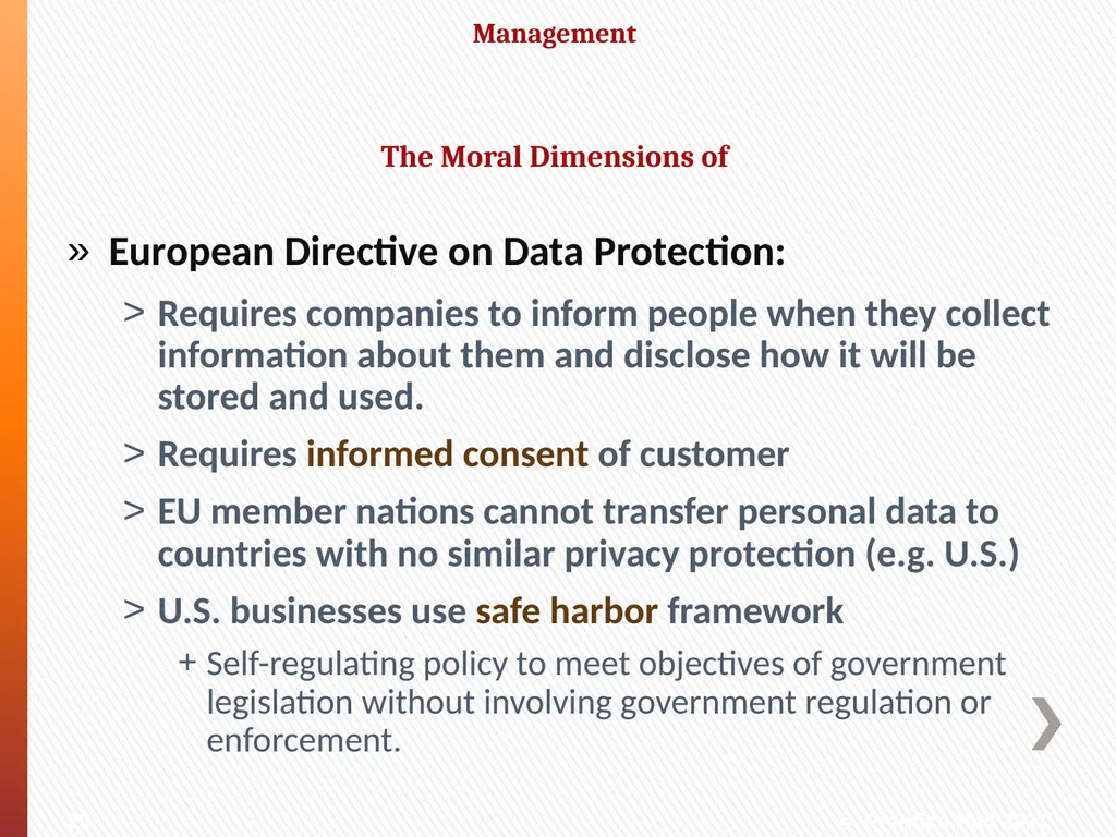 MANAGEMENT of INFORMATION Ethical and Social - slide 20 of 34