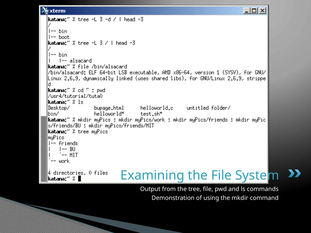 Introduction to Linux “Linux at the Command Line” - slide 35 of 53