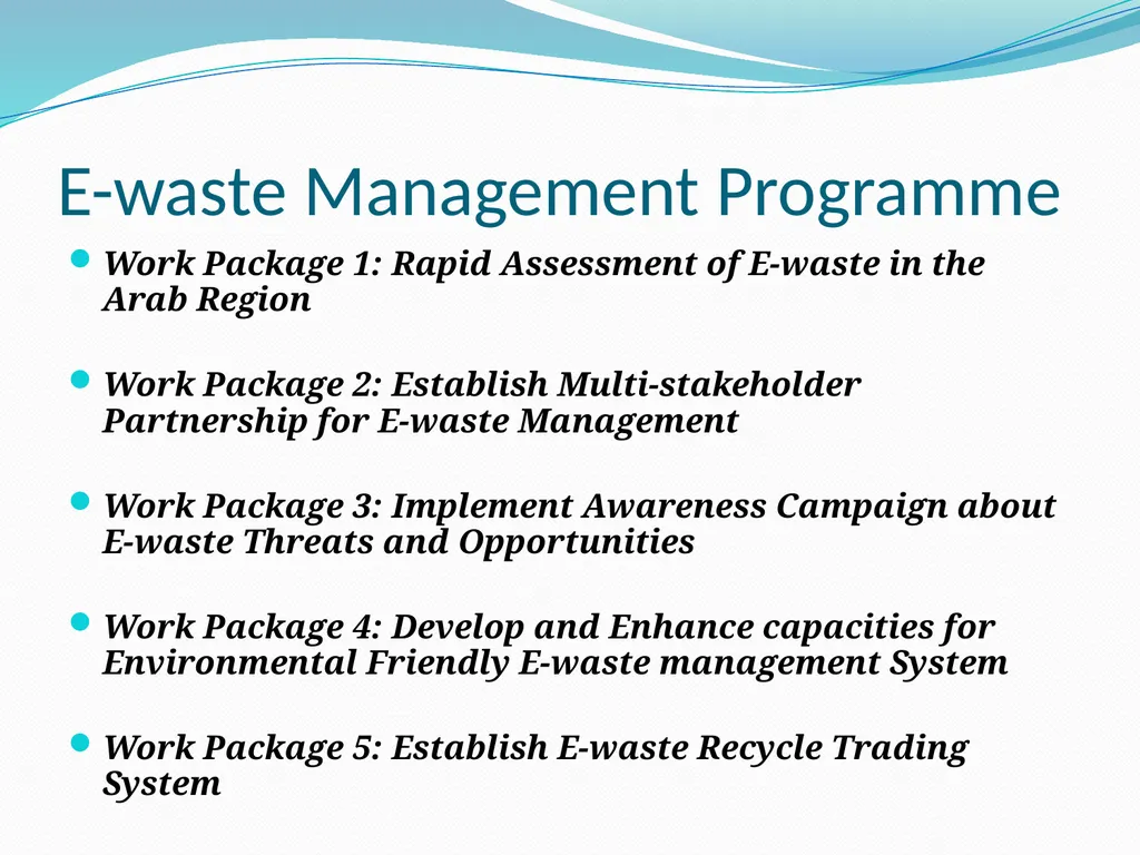 E-waste Management in the Arab Region: Status and - slide 28 of 32