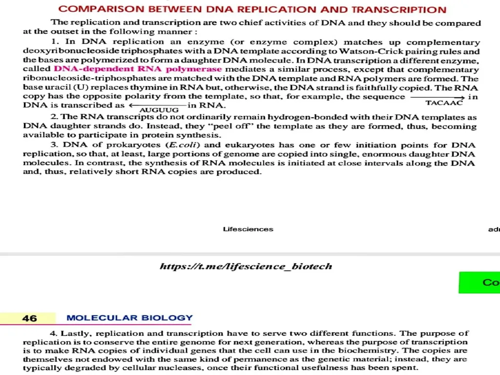 TRANSCRIPTION TRANSCRIPTION The process of copying - slide 4 of 11