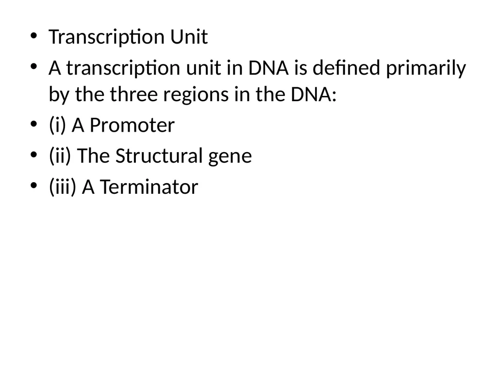 TRANSCRIPTION TRANSCRIPTION The process of copying - slide 5 of 11