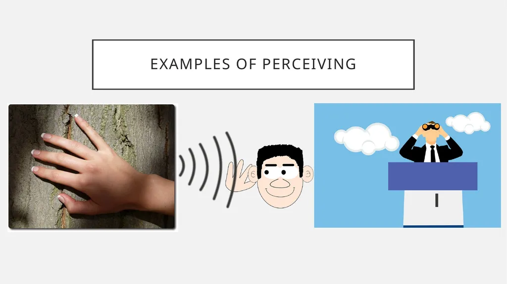 Risk Perception How past experiences determine - slide 3 of 16