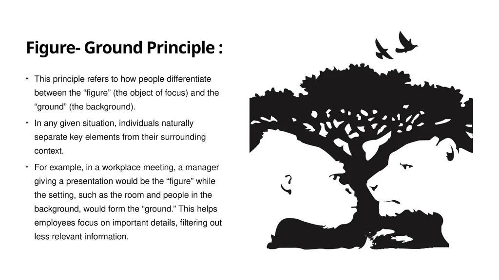 Perception in OB Understanding How Perception - slide 7 of 12