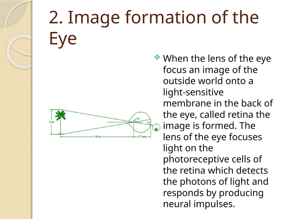Digital Image processing Contents : 1). Elements - slide 5 of 8