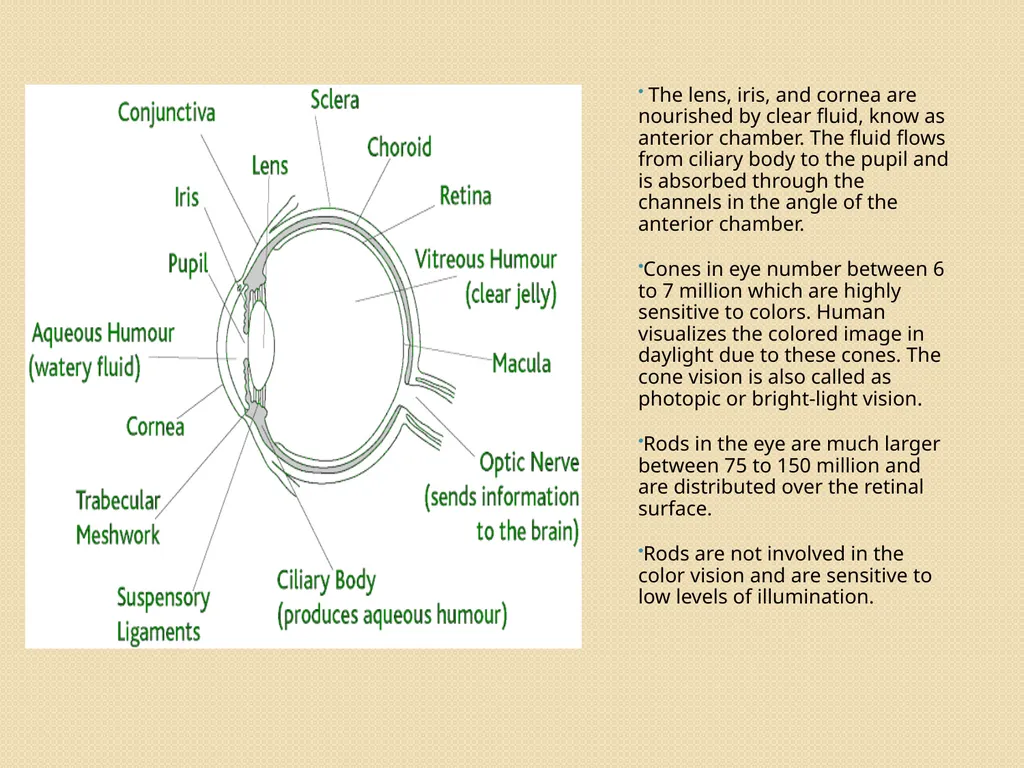 Digital Image processing Contents : 1). Elements - slide 4 of 8