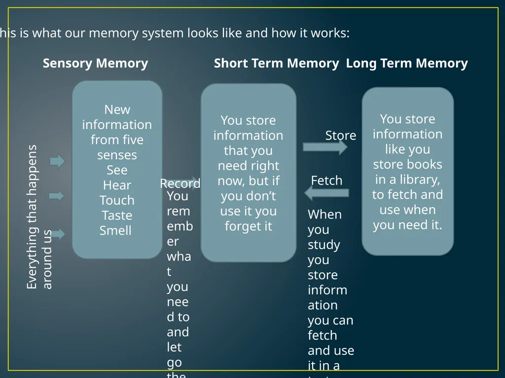 MEMORY PLP MODULE 2 UNIT 2 LIFE SKILLS 2.1 The - slide 4 of 8