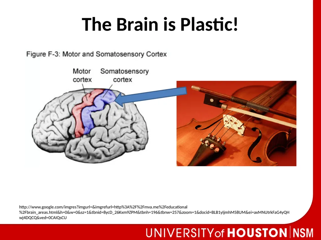 Peer Facilitator Workshop Donna L. Pattison How Do - slide 3 of 23
