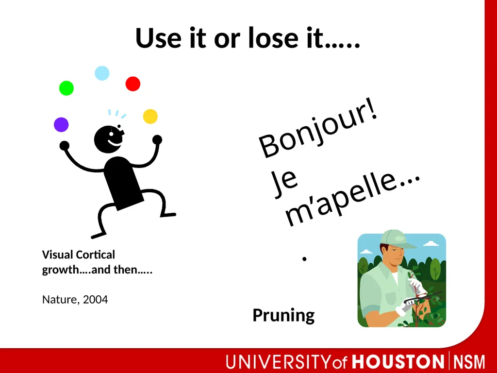 Peer Facilitator Workshop Donna L. Pattison How Do - slide 4 of 23