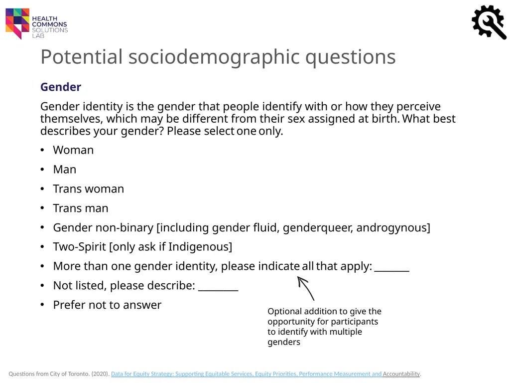 TOOLS Sociodemographic Data Collection IN A - slide 19 of 36