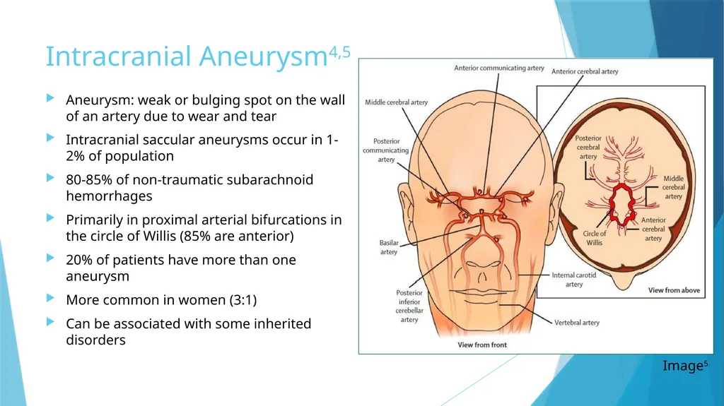 Cervical Spondylosis: A Case Study Leslie Rainey - slide 8 of 18