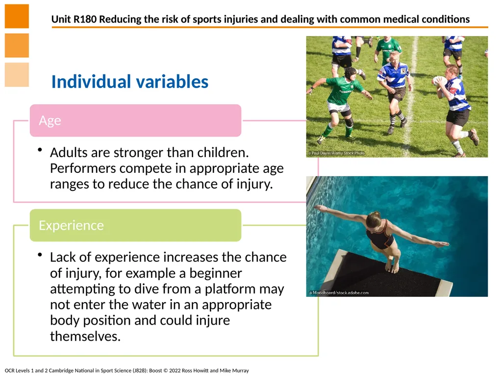 Different factors which influence the risk and - slide 6 of 16