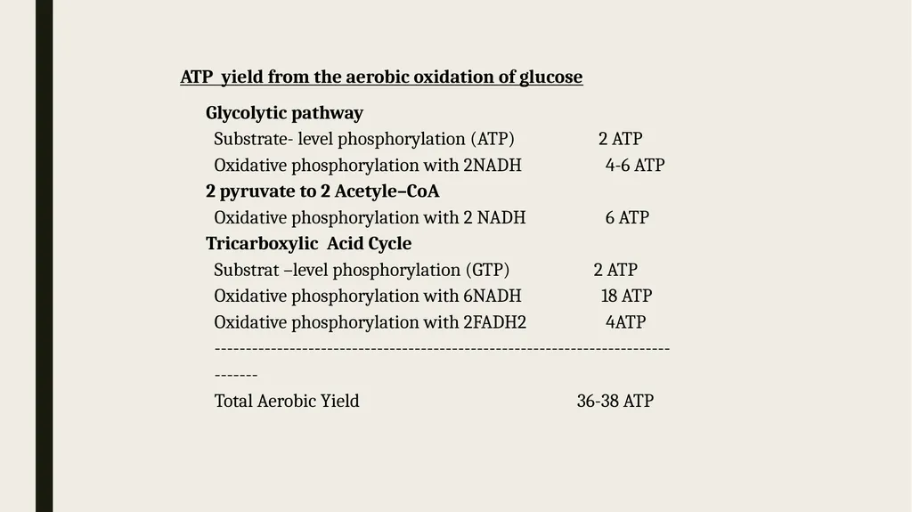 Catabolism: Tricarboxylic acid cycle (TCA ) or - slide 6 of 18