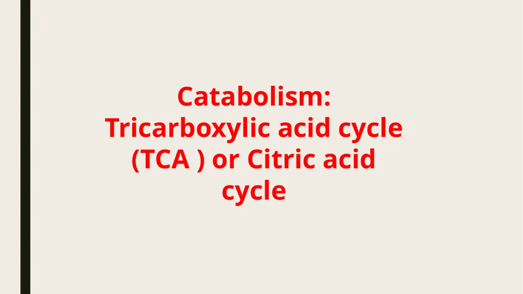 Catabolism: Tricarboxylic acid cycle (TCA ) or - slide 1 of 18
