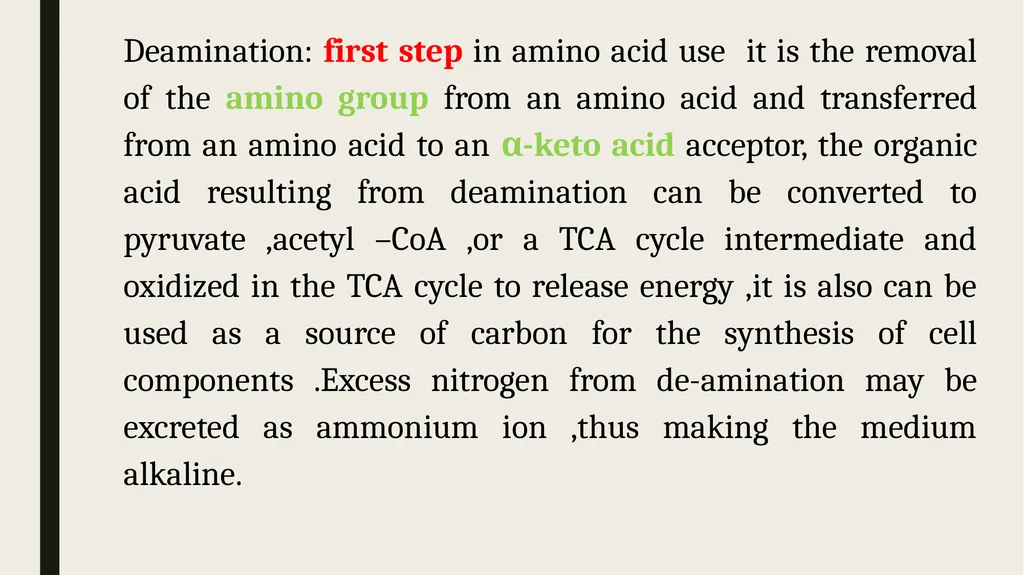 Catabolism: Tricarboxylic acid cycle (TCA ) or - slide 15 of 18