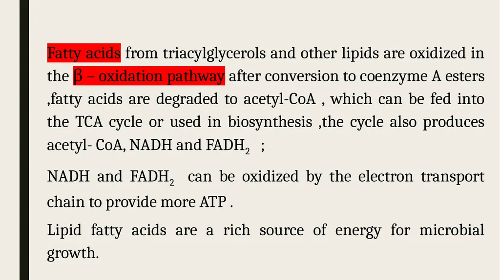 Catabolism: Tricarboxylic acid cycle (TCA ) or - slide 13 of 18