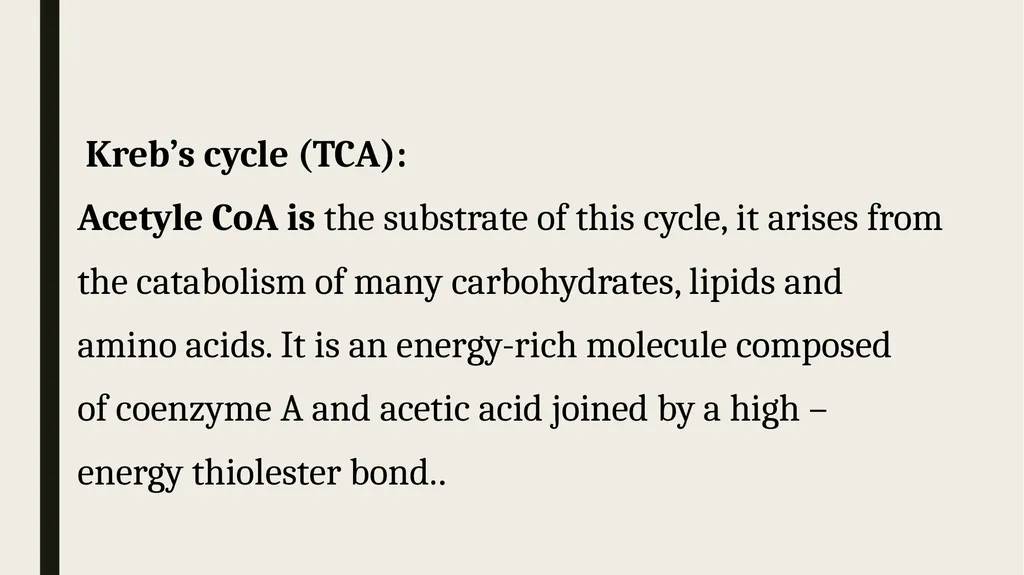 Catabolism: Tricarboxylic acid cycle (TCA ) or - slide 2 of 18