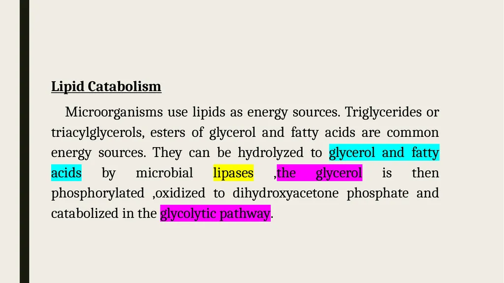 Catabolism: Tricarboxylic acid cycle (TCA ) or - slide 12 of 18
