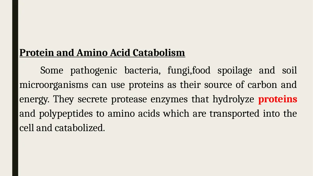 Catabolism: Tricarboxylic acid cycle (TCA ) or - slide 14 of 18