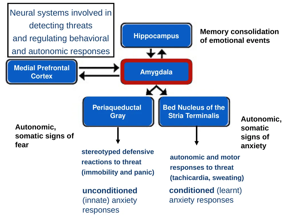 stereotyped defensive reactions to threat - slide 2 of 20