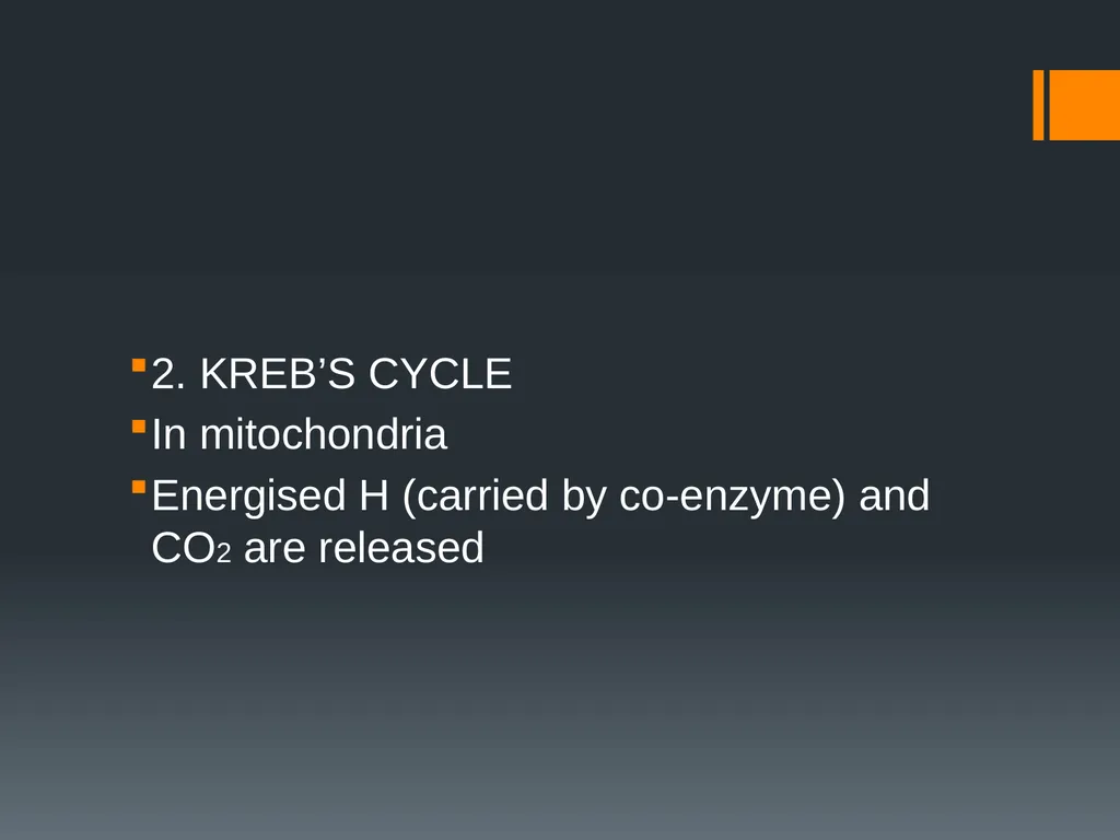 CELLULAR RESPIRATION MAKING LINKS FORMULA OF - slide 7 of 33