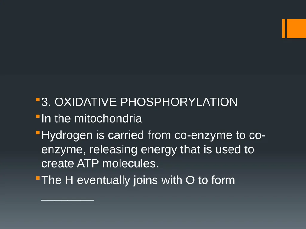 CELLULAR RESPIRATION MAKING LINKS FORMULA OF - slide 8 of 33