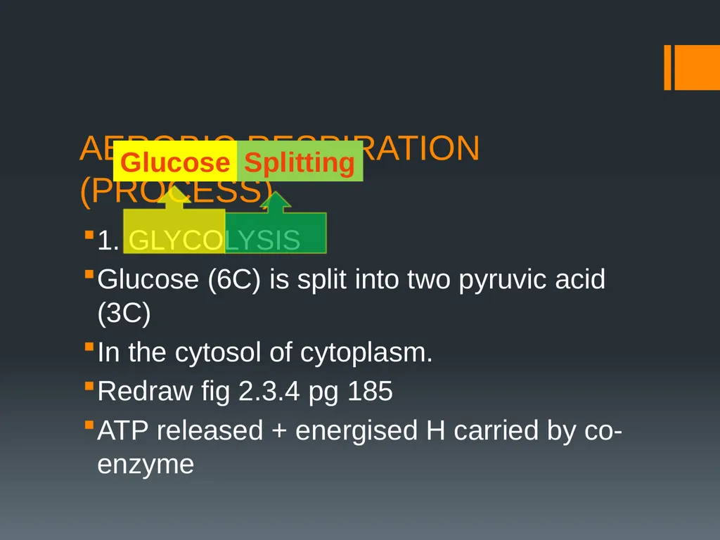 CELLULAR RESPIRATION MAKING LINKS FORMULA OF - slide 6 of 33