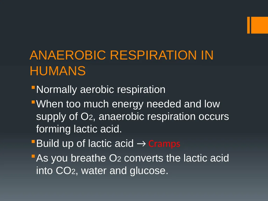 CELLULAR RESPIRATION MAKING LINKS FORMULA OF - slide 11 of 33