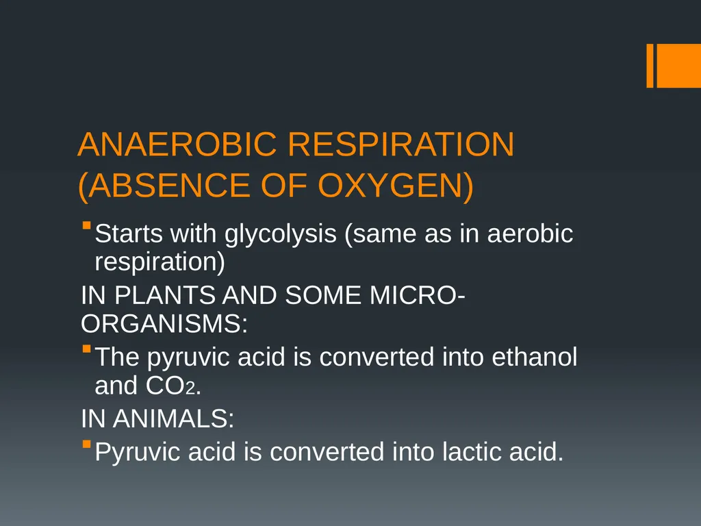 CELLULAR RESPIRATION MAKING LINKS FORMULA OF - slide 10 of 33