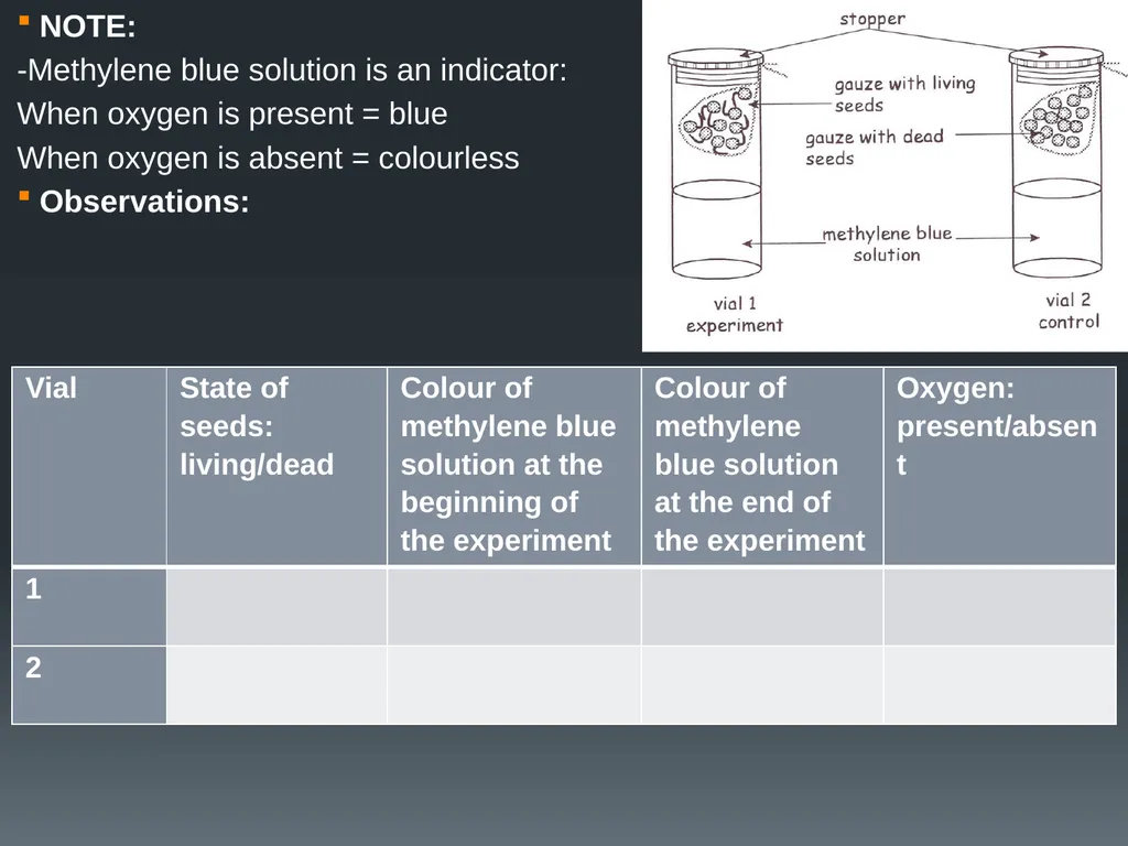 CELLULAR RESPIRATION MAKING LINKS FORMULA OF - slide 22 of 33