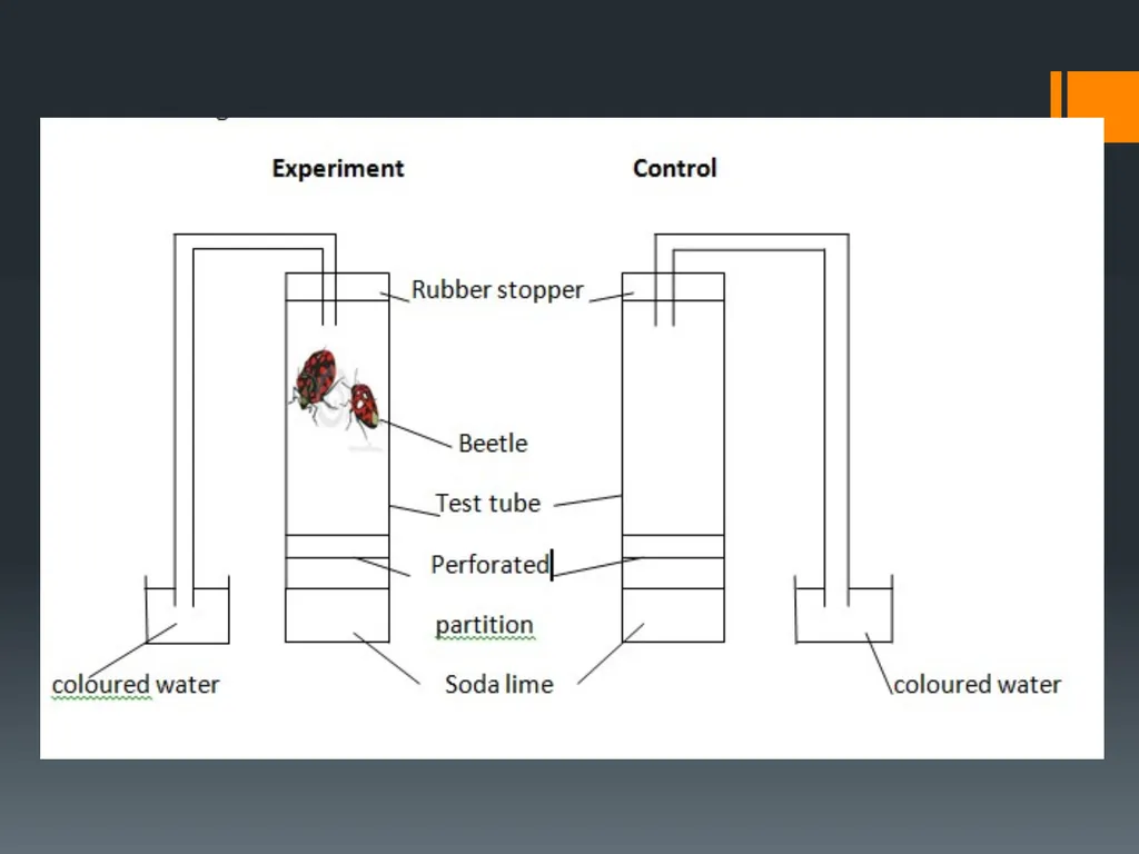 CELLULAR RESPIRATION MAKING LINKS FORMULA OF - slide 27 of 33