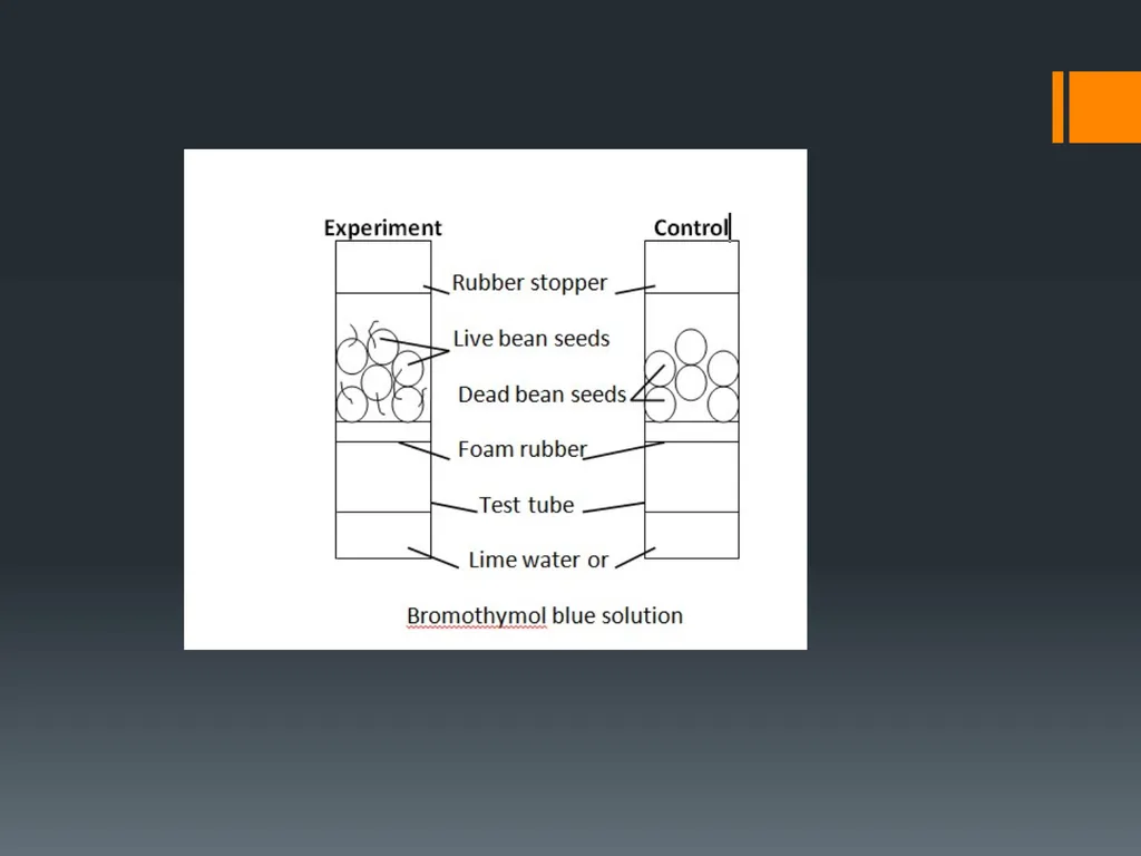 CELLULAR RESPIRATION MAKING LINKS FORMULA OF - slide 31 of 33