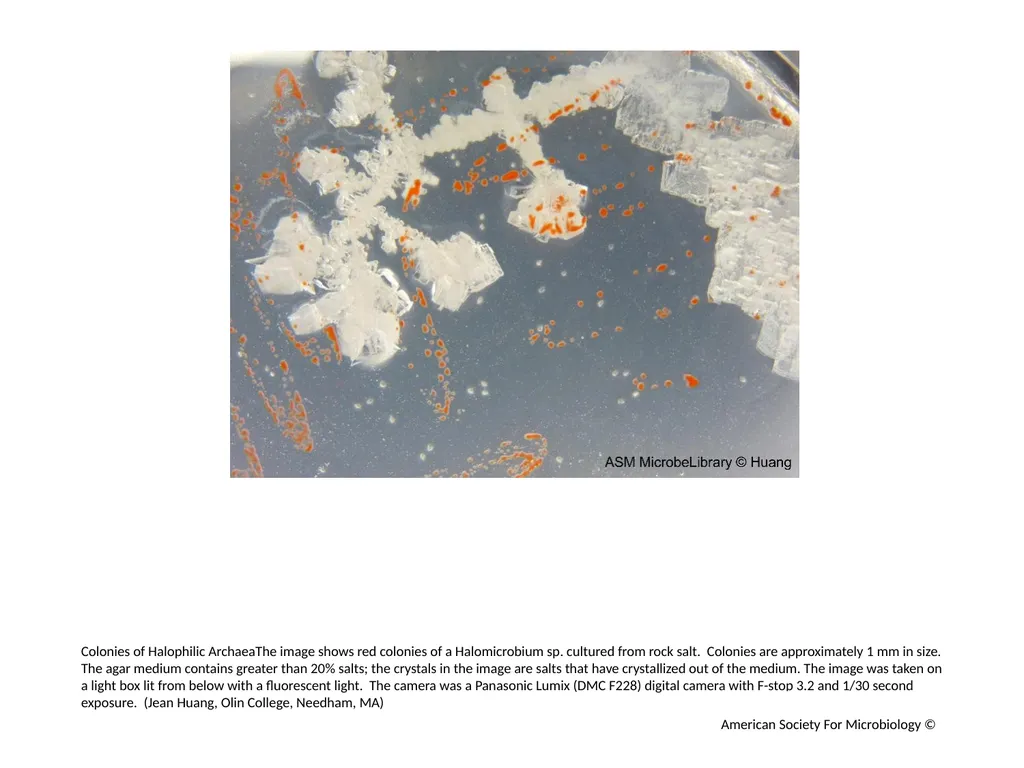 Extremophiles Author: Multiple Authors Citation: - slide 2 of 4