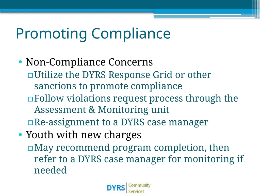 DYRS Systems Improvements Matching Risk and Needs - slide 19 of 44