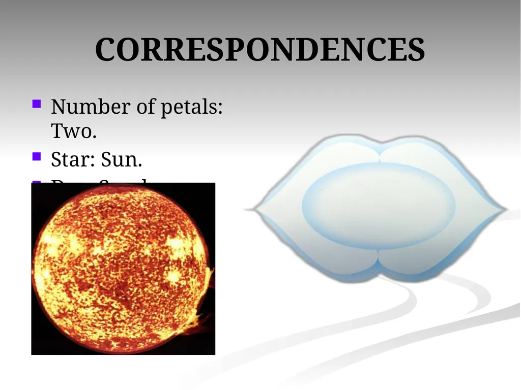 AGNYA CORRESPONDENCES Number of petals: Two. Star: - slide 3 of 25